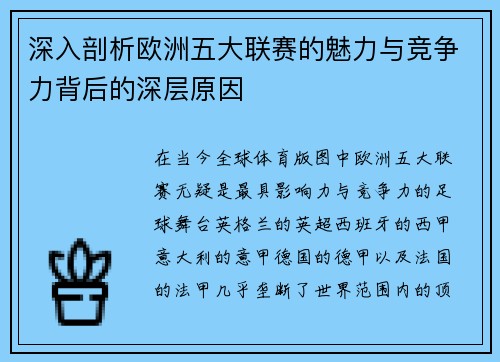 深入剖析欧洲五大联赛的魅力与竞争力背后的深层原因