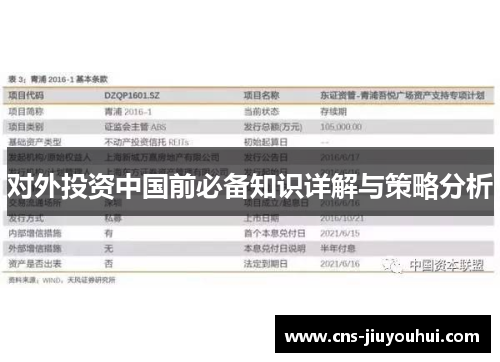 对外投资中国前必备知识详解与策略分析