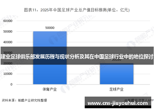 建业足球俱乐部发展历程与现状分析及其在中国足球行业中的地位探讨