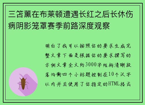 三笘薰在布莱顿遭遇长红之后长休伤病阴影笼罩赛季前路深度观察 三笘薰在布莱顿遭遇长红之后长休伤病阴影笼罩赛季前路深度观察